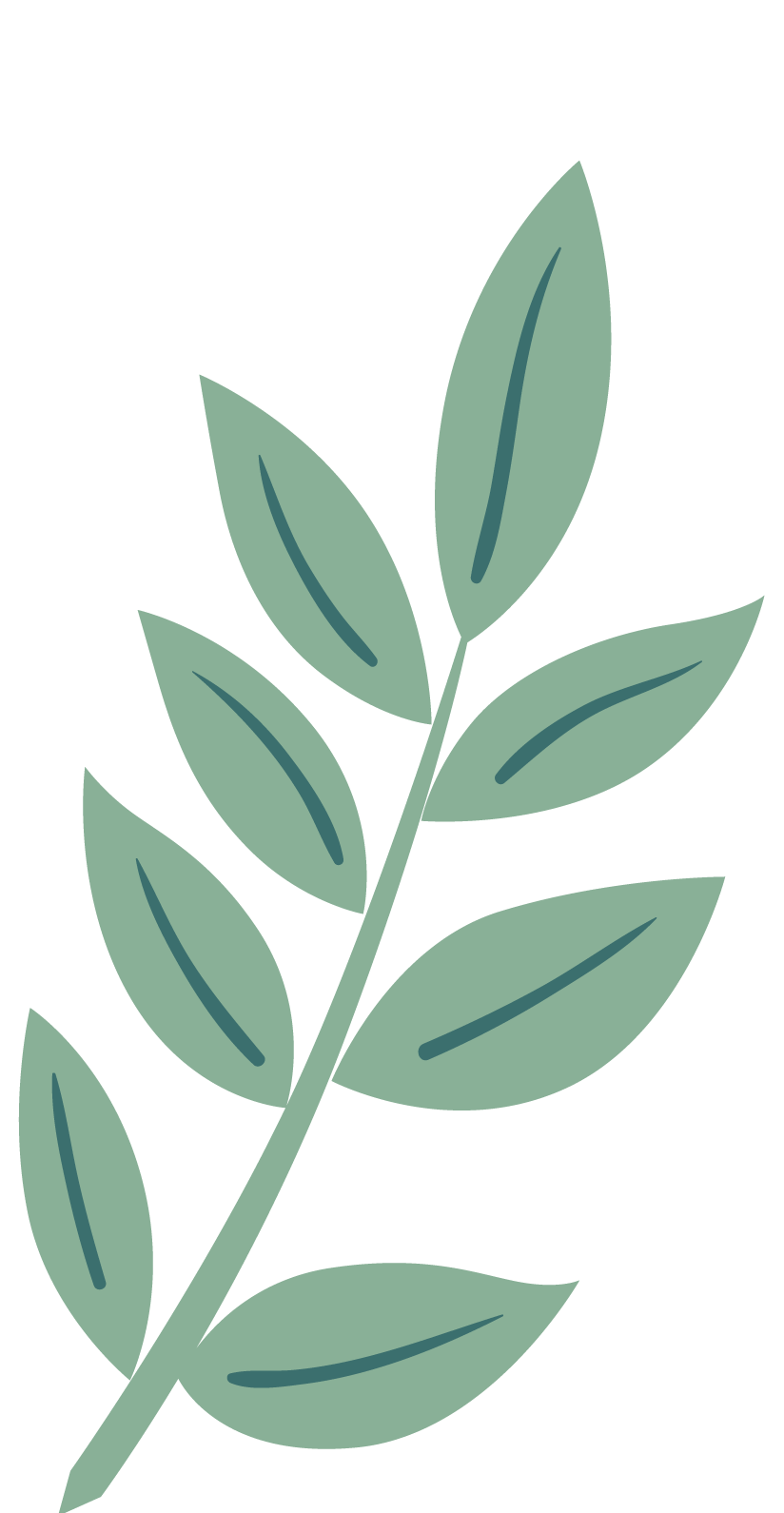 Fern leaf graphic